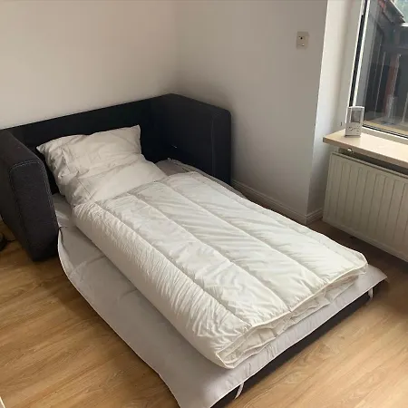 Gemuetliche Harz Hohegeiss Apartament
