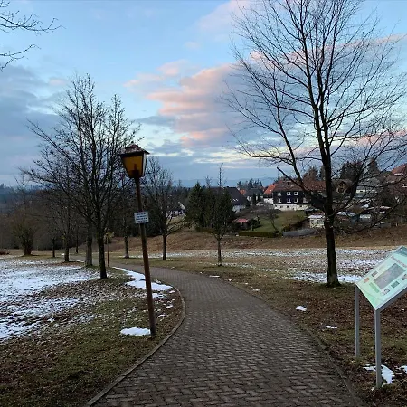 Gemuetliche Harz Hohegeiss Apartment Braunlage