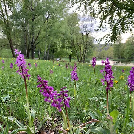 Lejlighed Gemuetliche Harz Hohegeiss *