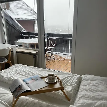 Gemuetliche Harz Hohegeiss * ブラウンラーゲ