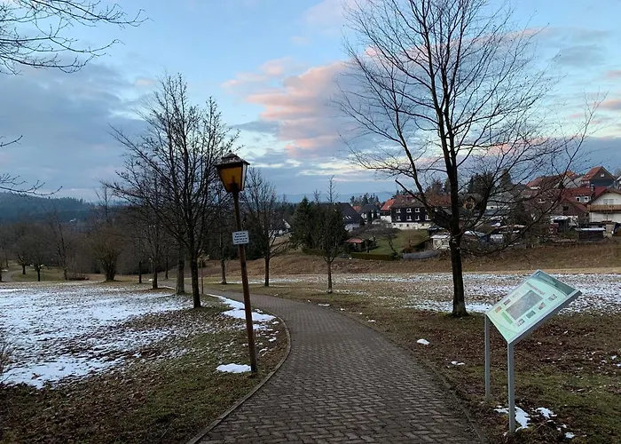 Gemuetliche Harz Hohegeiss Lejlighed Braunlage