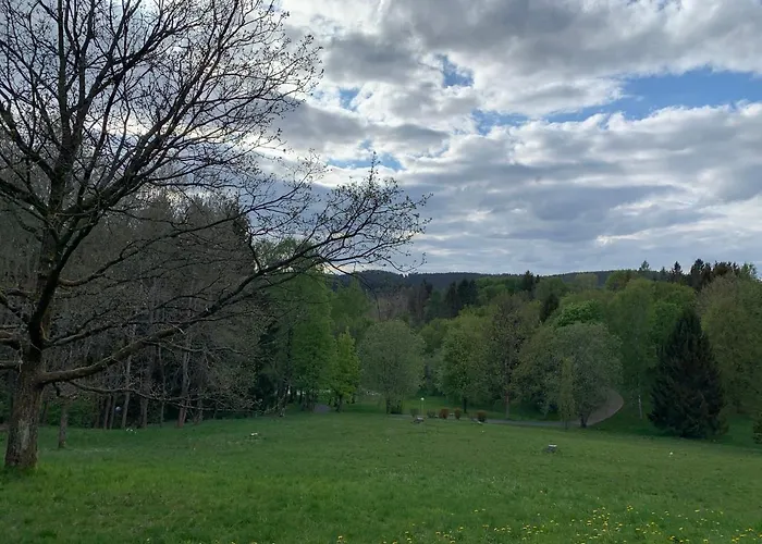 Gemuetliche Harz Hohegeiss Lejlighed Braunlage