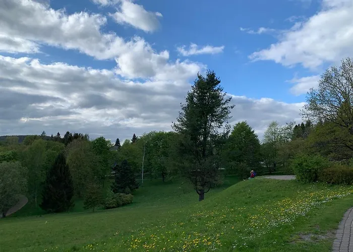 Gemuetliche Harz Hohegeiss Braunlage
