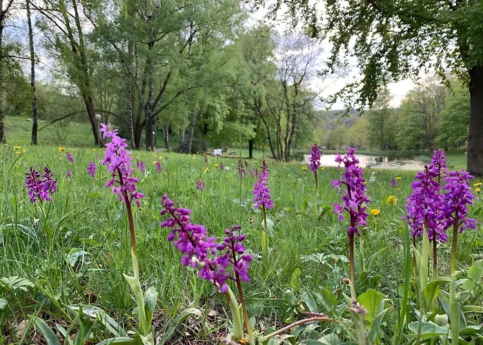 Lejlighed Gemuetliche Harz Hohegeiss *