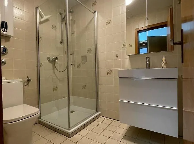 Apartment Gemütliche Harz Hohegeiß *