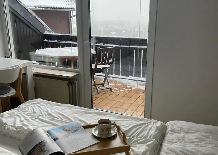 Gemütliche Harz Hohegeiß * Braunlage